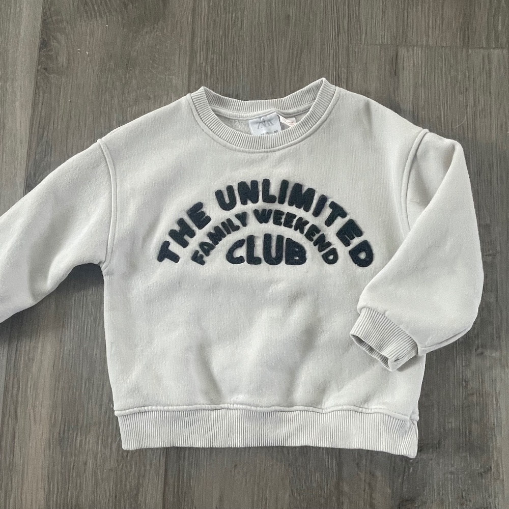 Zara Toddler Sweatshirt